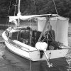Hartley 16ft (5m) Trailer Sailor