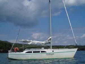 Hartley 30 (Steel Version) - Study Pack