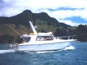 Blue Marlin 30 - Study Pack