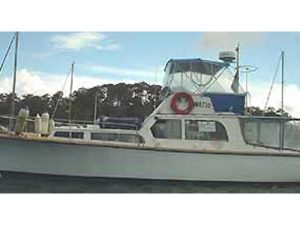 Blue Marlin 38 - Study Pack