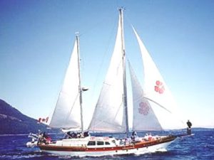 Samson 'C-Baron' 55 - Study Pack