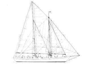 Samson 'C-Fever' 62 - Study Pack