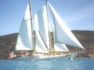 Samson 'C-Lord' 53 - Study Pack