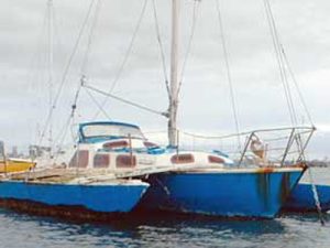 Lively 28 - Study Pack