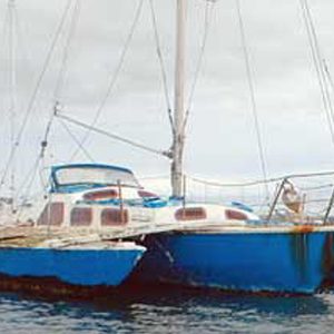plywood sailing catamaran plans