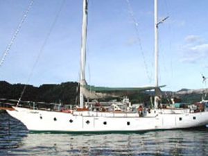 Samson 'C-Deuce' 45 - Study Pack