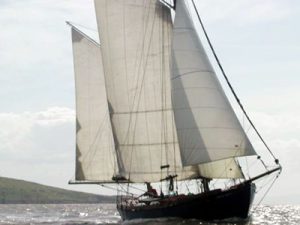 Norsk 40 - Study Pack