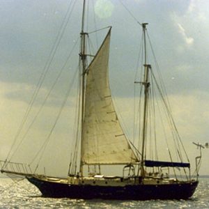 small wood sailboat plans