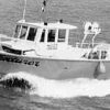Seaharvester 34