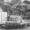 Seaharvester 37