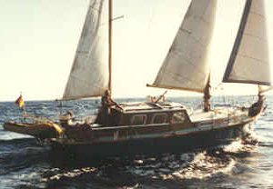 Tahitian 38 - Image 5