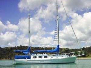 Tahitian 38 - Study Pack