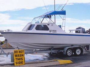 Vixen 17 - Study Pack