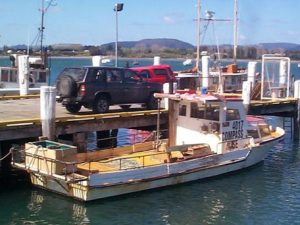 Marksman 22 - Study Pack